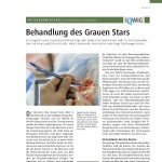 screenshot of article