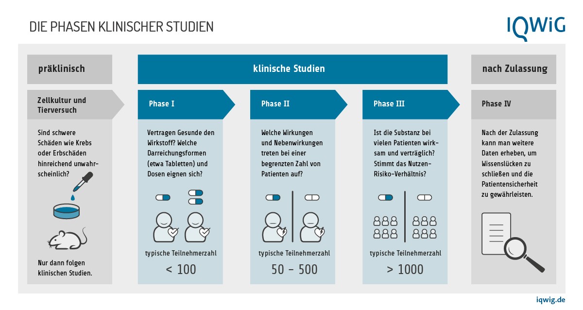 Infografik: Die Phasen klinischer Studien. Klinische Studien haben drei Phasen. Davor gibt es ein präklinisches Stadium, in dem ein Wirkstoff in Zellkulturen und im Tierversuch untersucht wird: Sind schwere Schäden wie Krebs oder Erbgutschäden hinreichend unwahrscheinlich? Nur dann folgen klinische Studien. In Phase-eins-Studien geht es darum, ob Gesunde den Wirkstoff vertragen, und welche Darreichungsformen (etwa Tabletten) und Dosen geeignet sind. An Phase-eins-Studien nehmen typischerweise unter 100 Menschen teil. In Phase-zwei-Studien wird geklärt, welche Wirkungen und Nebenwirkungen bei einer begrenzten Zahl von Patientinnen und Patienten auftreten. Typisch sind 50 bis 500 Personen. In Phase-drei-Studien stellt man fest, ob die Substanz bei vielen Patientinnen und Patienten wirksam und verträglich ist. Stimmt das Nutzen-Risiko-Verhältnis? Das wird typischerweise an über 1000 Personen ermittelt. An die Zulassung, die auf klinischen Studien basiert, kann sich eine Phase vier anschließen. In ihr erhebt man weitere Daten, um Wissenslücken zu schließen und die Patientensicherheit zu gewährleisten.