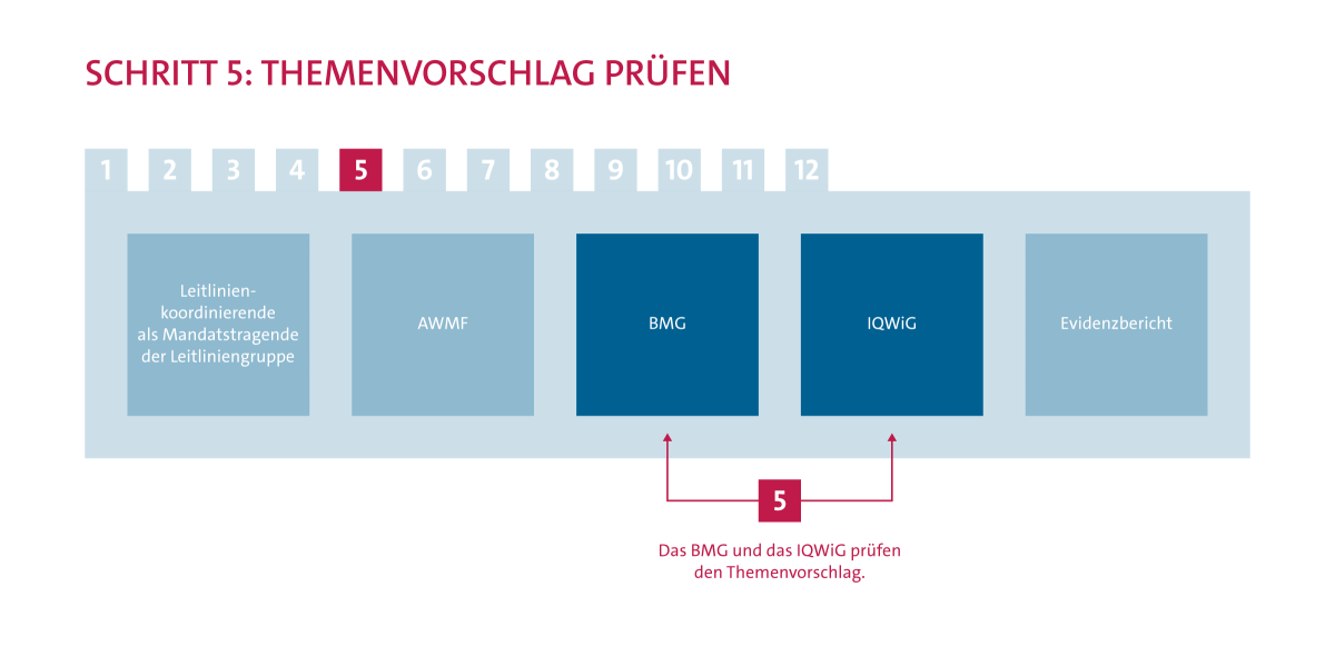 Ablauf Evidenzrecherche Schritt 5: Prüfung des Themenvorschlags. Das BMG und das IQWiG prüfen den Themenvorschlag