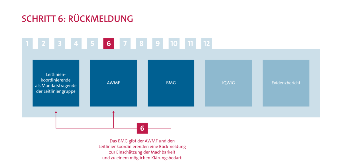 Ablauf Evidenzrecherche Schritt 6: Rückmeldung. Das BMG gibt der AWMF und den Leitlinienkoordinierenden eine Rückmeldung zur Einschätzung der Machbarkeit und zu einem möglichen Klärungsbedarf