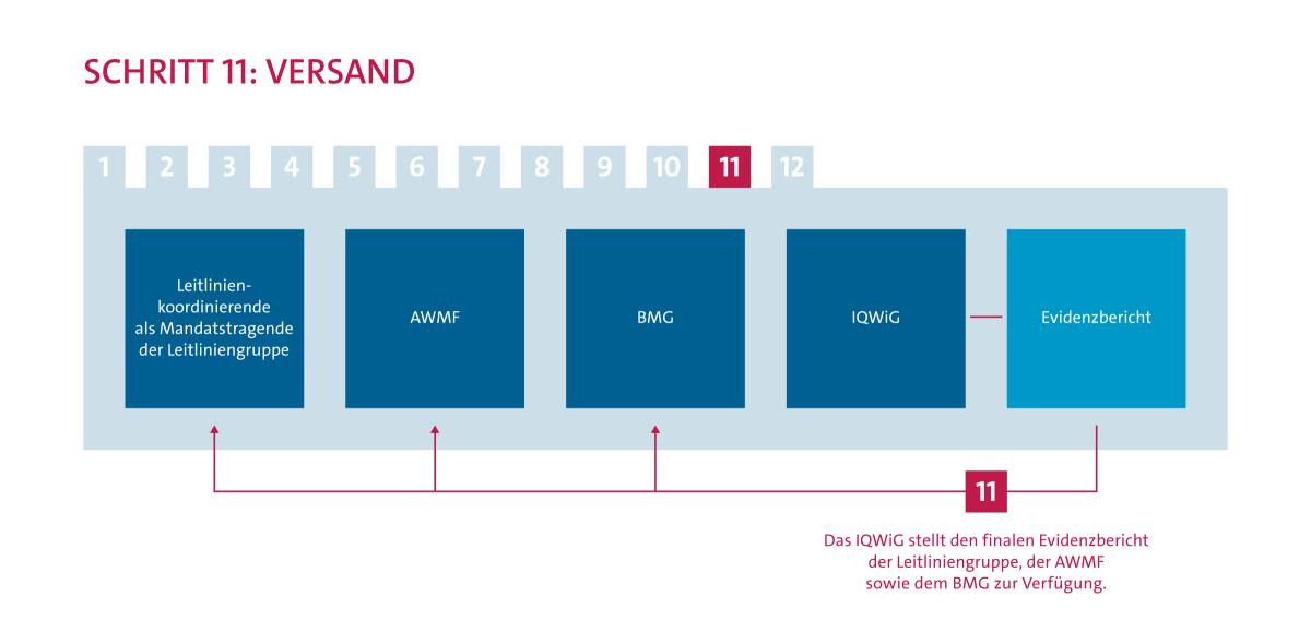 Ablauf Evidenzrecherche Schritt 11: Versendung. Das IQWiG stellt den finalen Evidenzbericht der Leitliniengruppe, der AWMF sowie dem BMG zur Verfügung